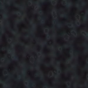 Sargasso - Image 9