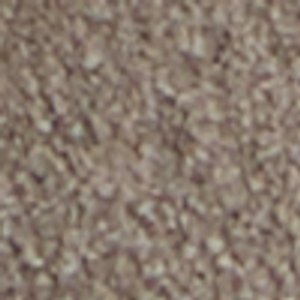 Abbott - Image 9