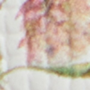 Krishelle - Image 8