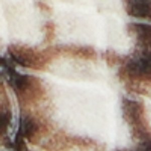 Marassita - Image 8