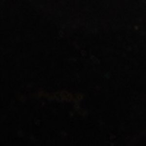 Kaitie - Image 9
