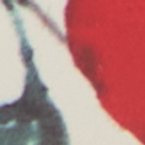 Lovebloom - Image 8