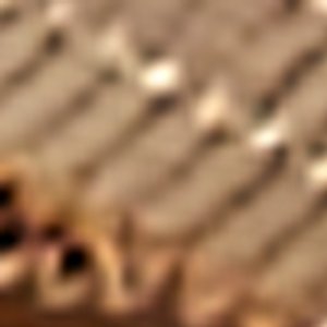 Erycia - Image 2