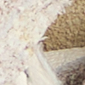 Harborchic - Image 8