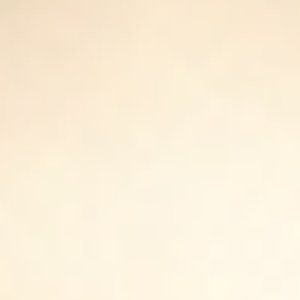 Xolove - Image 3