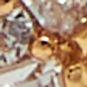 Darsee - Image 3