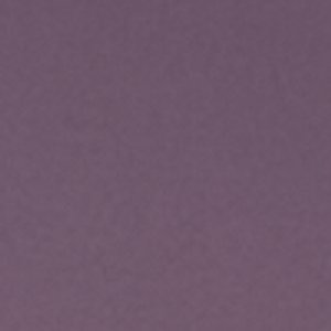 Asya - Image 4