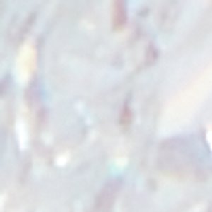 Halendra - Image 3