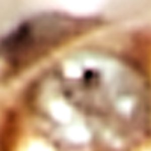 Radiannce_x - Image 3