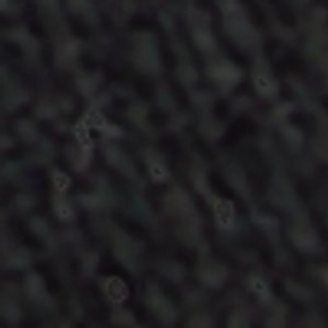 Casino - Image 9