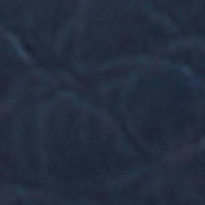 Wildwave - Image 10