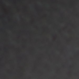Wildwoodd - Image 9