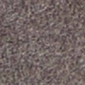 Soar - Image 9