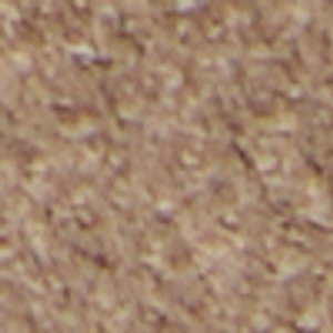 Wildbrook - Image 9