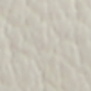 Wildwood - Image 9