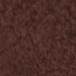 Sunnyside - Image 9