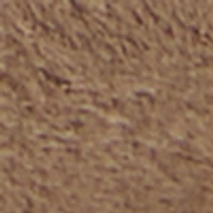 Sunnyside - Image 9