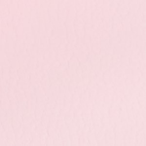 Daisylily - Image 8