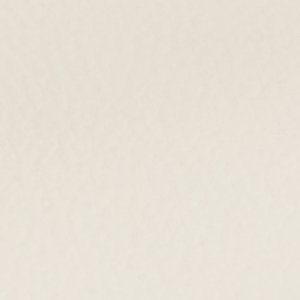 Daisylily - Image 9