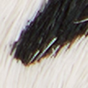 Chicsneaker - Image 8