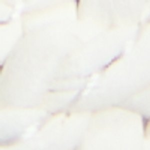 Joselia - Image 8