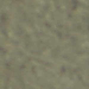 Bohodream - Image 8