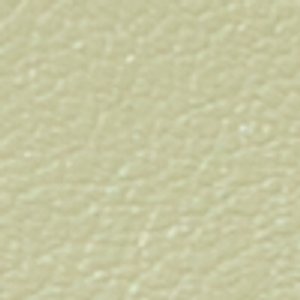 Evielily - Image 6