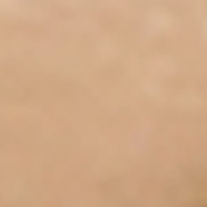 Arinellax - Image 6