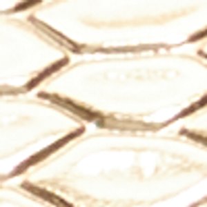 Callunaax - Image 6