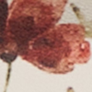 Eteiniix - Image 7