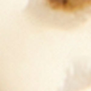 Writeyourown - Image 4