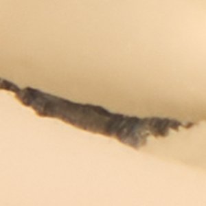 Kendalle - Image 3