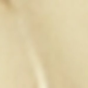 Starsigns - Image 4