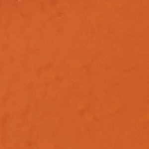 Daisymae - Image 8