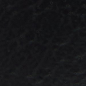 Daisymae - Image 8