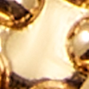 Bearsy - Image 3