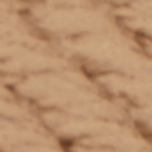 Acaena - Image 2