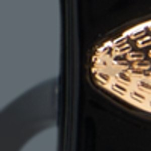 Biwia - Image 4