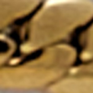 Gifted - Image 2