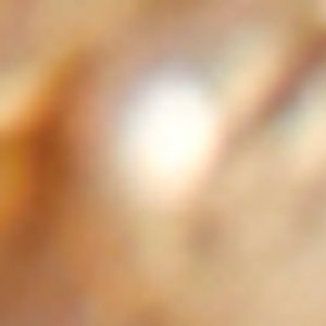 Indrois - Image 3