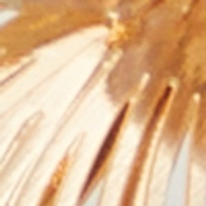 Petaldream - Image 3