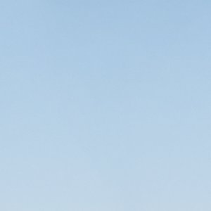 Pigowenx - Image 4