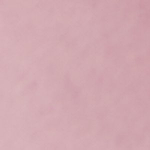 Auroramule - Image 10