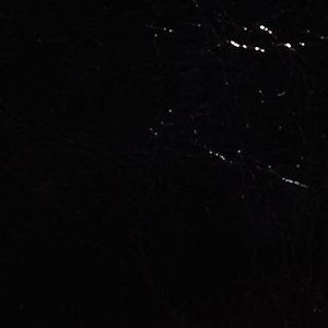 Alicieex - Image 7