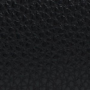 Georigiax - Image 6