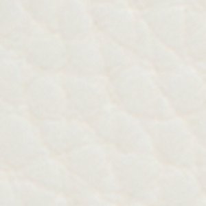Berabrinax - Image 7