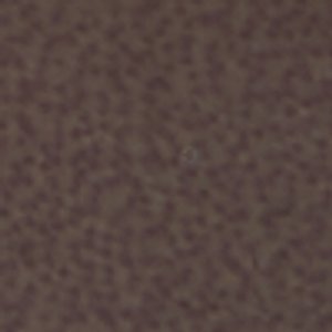 Berolsen - Image 8