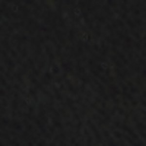 Lamington - Image 8