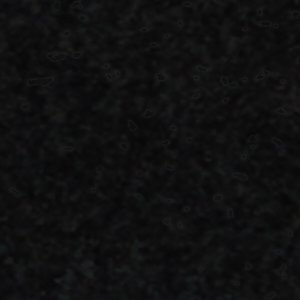 Fiero - Image 9