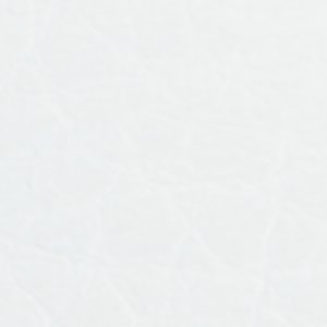 Fiero - Image 9